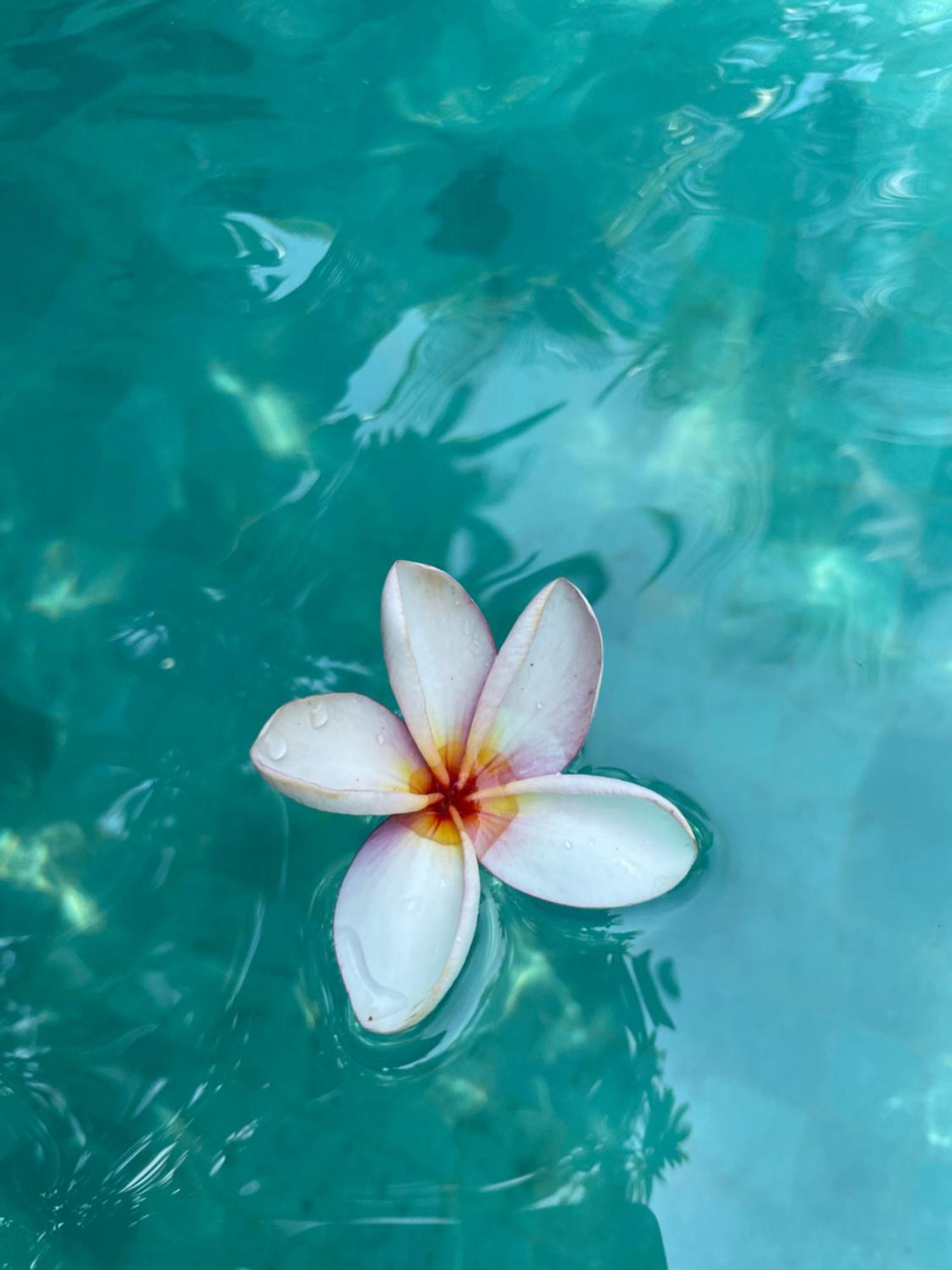 Umakayu Joglo Villa Canggu - Boutique Hotel 外观 照片